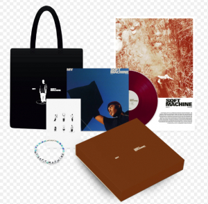 Arlo Parks - My Soft Machine (LP Boxset Transparent Violet Vinyl) i gruppen VINYL hos Bengans Skivbutik AB (4230191)