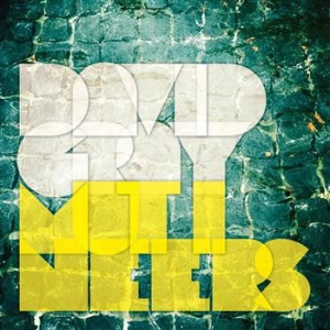 Gray David - Mutineers (Incl. Bonus Track) i gruppen VINYL / Pop-Rock hos Bengans Skivbutik AB (1022273)