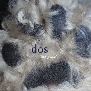 Dos (Mike Watt) - Dos Y Dos i gruppen CD / Rock hos Bengans Skivbutik AB (1023826)