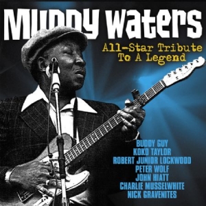 Blandade Artister - All-Star Tribute To Muddy Waters i gruppen CD / Rock hos Bengans Skivbutik AB (1032360)