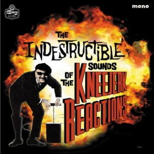 Kneejerk Reactions - Indestructible Sounds Of... i gruppen VINYL / Rock hos Bengans Skivbutik AB (1044964)