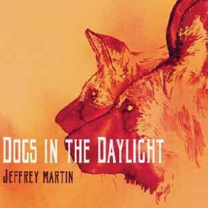 Martin Jeffrey - Dogs In The Daylight i gruppen CD / Pop hos Bengans Skivbutik AB (1105351)