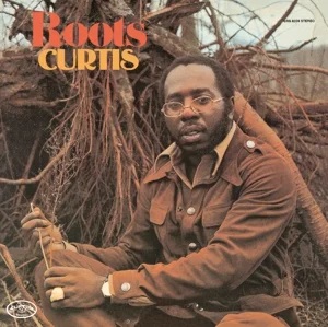 Curtis Mayfield - Roots i gruppen CD / RnB-Soul hos Bengans Skivbutik AB (1129928)