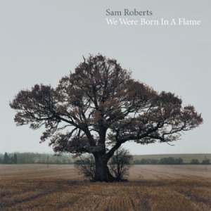 Roberts Sam - We Were Born In A Flame i gruppen VINYL / Pop hos Bengans Skivbutik AB (1187230)