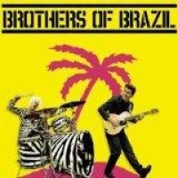 Brothers Of Brazil - Brothers Of Brazil i gruppen CD / Pop-Rock hos Bengans Skivbutik AB (1188917)
