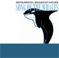 Instrumental Sounds Of Nature - Song Of The Whales i gruppen CD / Pop-Rock hos Bengans Skivbutik AB (1267033)
