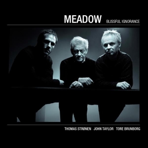 Meadow - Blissful Ignorance i gruppen CD / Jazz hos Bengans Skivbutik AB (1532958)