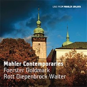 Foerster / Goldmark / Rott - Mahler Contemporaries i gruppen Externt_Lager / Naxoslager hos Bengans Skivbutik AB (1555171)