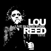 Reed  Lou - Live In New York 1972 i gruppen VINYL / Pop-Rock hos Bengans Skivbutik AB (1793750)