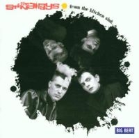 Sting-Rays - From The Kitchen Sink i gruppen CD / Pop-Rock hos Bengans Skivbutik AB (1811544)