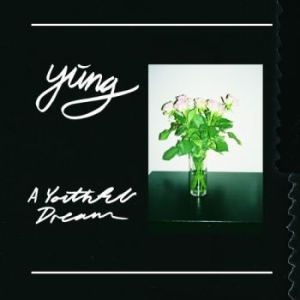 Yung - A Youthful Dream i gruppen CD / Pop hos Bengans Skivbutik AB (1890981)