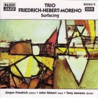 Trio Friedrich-Hebert-Moreno - Surfacing i gruppen CD / Jazz hos Bengans Skivbutik AB (2010033)