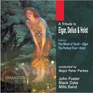 Various - Tribute To Elgar / Delius / Ho i gruppen Externt_Lager / Naxoslager hos Bengans Skivbutik AB (2013791)