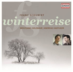 Schubert - Winterreise i gruppen Externt_Lager / Naxoslager hos Bengans Skivbutik AB (2015944)