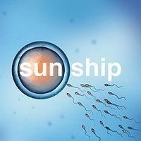 Brian Jonestown Massacre - Sun Ship The i gruppen VINYL / Vinyl Singlar hos Bengans Skivbutik AB (2060989)