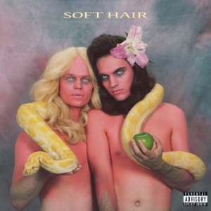 Soft Hair - Soft Hair i gruppen VINYL / Pop hos Bengans Skivbutik AB (2098319)