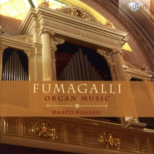 Marco Ruggeri (Organ) - Organ Music i gruppen Externt_Lager / Naxoslager hos Bengans Skivbutik AB (2384985)