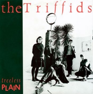 Triffids - Treeless Plain i gruppen CD / Rock hos Bengans Skivbutik AB (2407072)