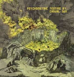 Casual Nun - Psychometric Testing By. i gruppen VINYL / Rock hos Bengans Skivbutik AB (2422531)