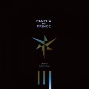 Pantha Du Prince - The Triad (Ambient Versions) i gruppen VINYL / Rock hos Bengans Skivbutik AB (2430101)