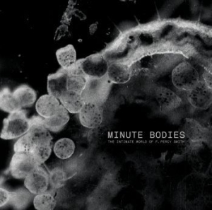 Tindersticks - Minute Bodies: The Intimate World of F. Percy Smith i gruppen MUSIK / LP+DVD / Kommande / Rock hos Bengans Skivbutik AB (2486990)