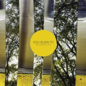 You Blew It! - Keep Doing What You're Doing i gruppen CD / Rock hos Bengans Skivbutik AB (2548945)