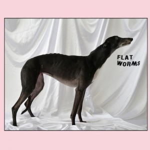 Flat Worms - Flat Worms i gruppen CD / Kommande / Reggae hos Bengans Skivbutik AB (2553196)