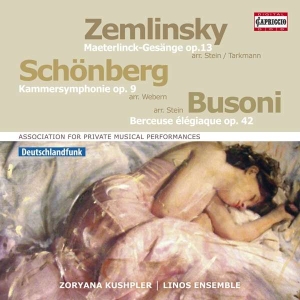 Zemlinsky Alexander Schoenberg A - Orchestral Songs i gruppen Externt_Lager / Naxoslager hos Bengans Skivbutik AB (2607678)