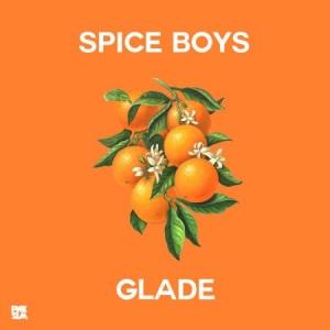 Spice Boys - Glade i gruppen VI TIPSAR / Vinylkampanjer / PNKSLM hos Bengans Skivbutik AB (3013755)