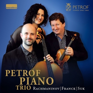 Franck César Rachmaninov Sergey - Piano Trios i gruppen Externt_Lager / Naxoslager hos Bengans Skivbutik AB (3049462)