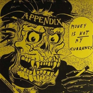 Appendix - Money Is Not My Currency (Raha Ei O i gruppen VINYL / Pop-Rock hos Bengans Skivbutik AB (3304463)