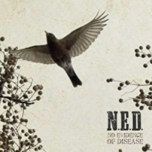 N.E.D. - No Evidence Of Disease i gruppen CD / Jazz/Blues hos Bengans Skivbutik AB (3334873)