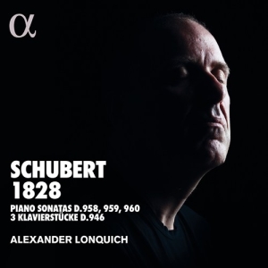 Schubert Franz - Schubert 1828 i gruppen Externt_Lager / Naxoslager hos Bengans Skivbutik AB (3469554)