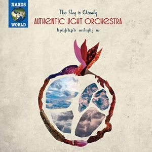 Authentic Light Orchestra - The Sky Is Cloudy i gruppen Externt_Lager / Naxoslager hos Bengans Skivbutik AB (3666058)