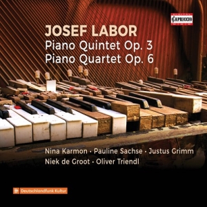 Labor Josef - Piano Quintet Op. 3, Piano Quartet i gruppen Externt_Lager / Naxoslager hos Bengans Skivbutik AB (3676740)