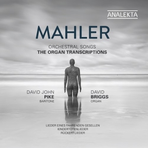 Mahler Gustav - Orchestral Songs - The Organ Transc i gruppen Externt_Lager / Naxoslager hos Bengans Skivbutik AB (3681738)