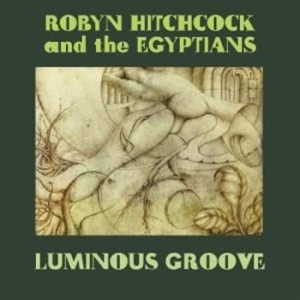 Hitchcock Robyn - Luminous Groove Box Set i gruppen VI TIPSAR / Vinylkampanjer / YEP-Vinyl hos Bengans Skivbutik AB (3768776)