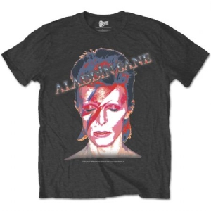David Bowie - David Bowie Unisex Tee: Aladdin Sane i gruppen MERCH / 0011AK-T-shirt hos Bengans Skivbutik AB (3826307)