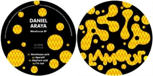 Daniel Araya - Warehouse EP i gruppen VINYL / Svensk Musik hos Bengans Skivbutik AB (3844146)