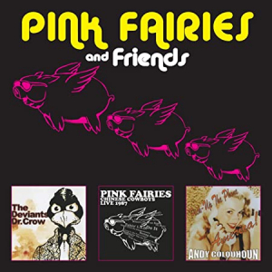Pink Fairies - Pink Fairies And Friends i gruppen CD / Pop-Rock hos Bengans Skivbutik AB (3928409)