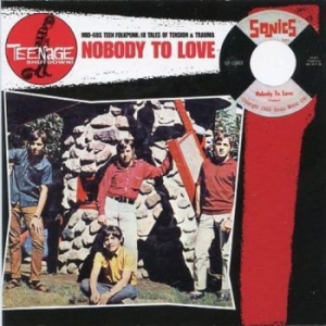 Blandade Artister - Teenage Shut Down - Nobody To Love i gruppen VINYL / Pop hos Bengans Skivbutik AB (3977700)
