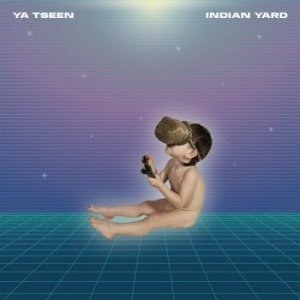 Ya Tseen - Indian Yard i gruppen VINYL / Rock hos Bengans Skivbutik AB (3983422)