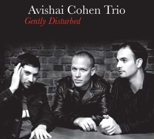 Cohen Avishai -Trio- - Gently Disturbed i gruppen CD / Jazz hos Bengans Skivbutik AB (4000034)