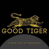 Good Tiger - A Head Full Of Moonlight i gruppen CD / Hårdrock,Pop-Rock hos Bengans Skivbutik AB (4005731)