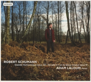 Schumann Robert - Grande Humoresque i gruppen CD / Klassiskt,Övrigt hos Bengans Skivbutik AB (4046361)