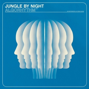 Jungle By Night - Algorhythm i gruppen CD / Jazz hos Bengans Skivbutik AB (4052749)