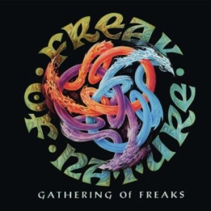 Freak Of Nature - Gathering Of Freaks i gruppen CD / Hårdrock/ Heavy metal hos Bengans Skivbutik AB (4073397)
