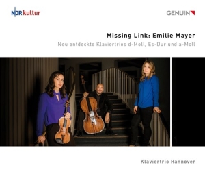Mayer Emilie - Missing Link i gruppen Externt_Lager / Naxoslager hos Bengans Skivbutik AB (4162282)