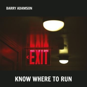 Adamson Barry - Know Where To Run i gruppen VINYL / Pop hos Bengans Skivbutik AB (4182291)