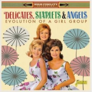 Delicates Starlets & Angles - Evolution Of A Vocal Group i gruppen CD / Pop hos Bengans Skivbutik AB (4185409)